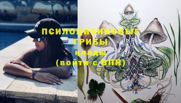 каннабис Яровое